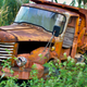 Illustration for article titled Dump Truck Decaying In Thai Jungle